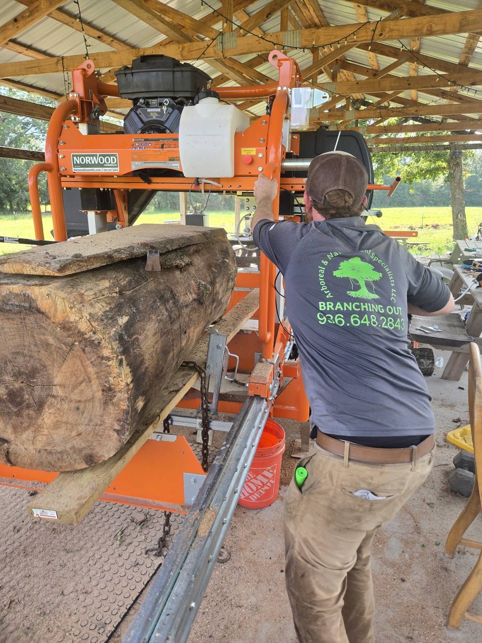 A crew member running a large hardwood log through a portable band sawmill