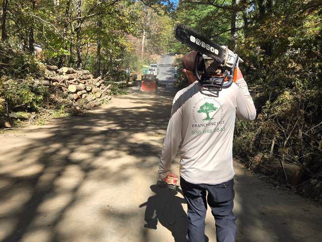 A crew member walking a road carrying a chainsaw, with cut storm debris stacked along the verge