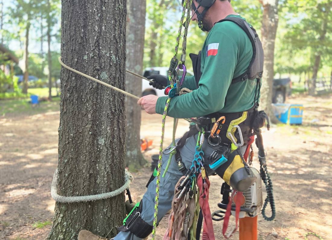 A Branching Out climber roped in at the base of a tree with a full rigging kit