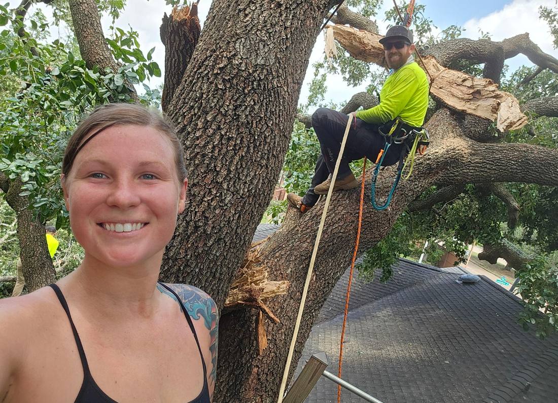 A Branching Out climber working a storm-damaged tree above a house roof
